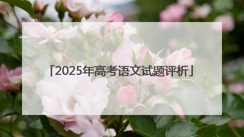 2025年高考语文试题评析