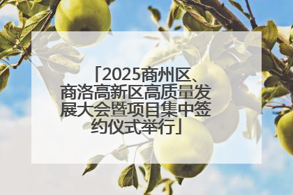 2025商州区、商洛高新区高质量发展大会暨项目集中签约仪式举行