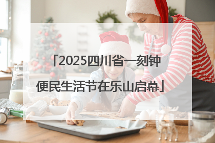 2025四川省一刻钟便民生活节在乐山启幕