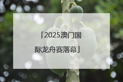 2025澳门国际龙舟赛落幕