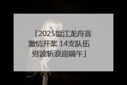 2025望江龙舟赛激情开桨 14支队伍劈波斩浪迎端午