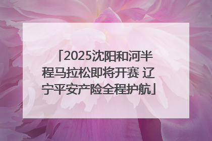 2025沈阳和河半程马拉松即将开赛 辽宁平安产险全程护航