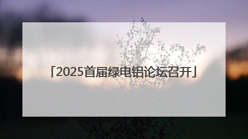 2025首届绿电铝论坛召开