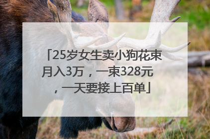 25岁女生卖小狗花束月入3万，一束328元，一天要接上百单