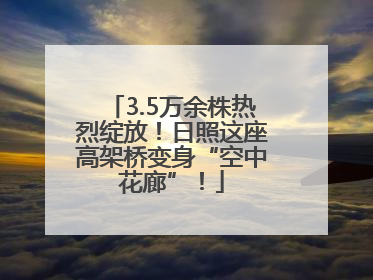 3.5万余株热烈绽放！日照这座高架桥变身“空中花廊”！