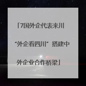 7国外企代表来川 “外企看四川”搭建中外企业合作桥梁