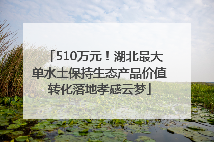 510万元！湖北最大单水土保持生态产品价值转化落地孝感云梦