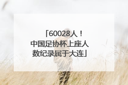 60028人！中国足协杯上座人数纪录属于大连