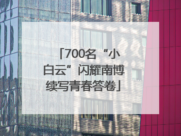 700名“小白云”闪耀南博续写青春答卷
