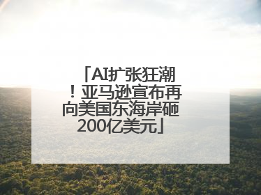 AI扩张狂潮！亚马逊宣布再向美国东海岸砸200亿美元