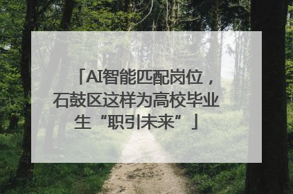 AI智能匹配岗位，石鼓区这样为高校毕业生“职引未来”