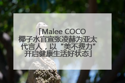 Malee COCO椰子水官宣张凌赫为亚太代言人，以“美不费力”开启健康生活好状态