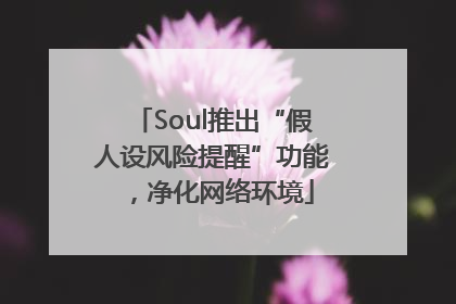 Soul推出“假人设风险提醒”功能，净化网络环境